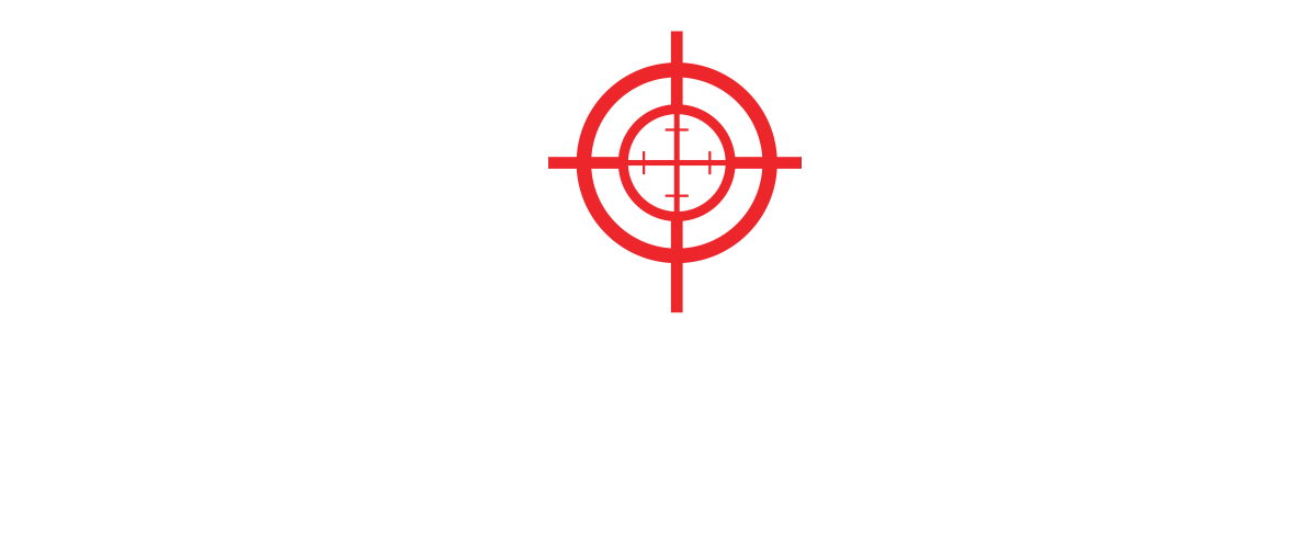 NVP OPTICAL SYSTEMS logo